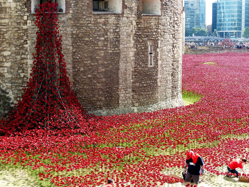 5m Visit London Poppy Display Financial Tribune